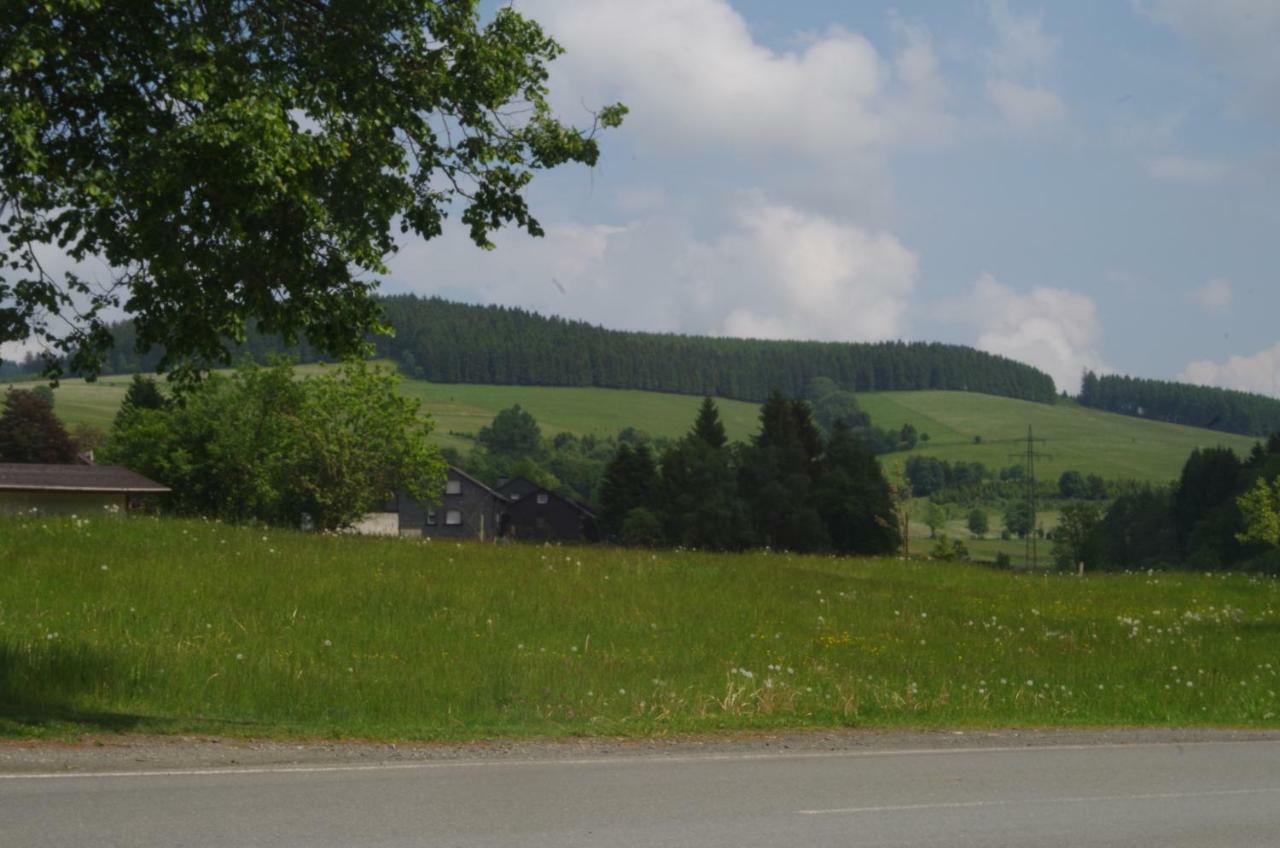 Das Gelbe Haus 3 Appartement Winterberg Buitenkant foto